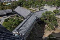 天守から本丸東多聞櫓・北多聞櫓・廊下橋|高解像度画像サイズ:4822 x 3215 pixels|写真番号:1DXL8805|撮影:Canon EOS-1D X