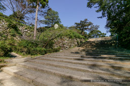 杉の段への大手道石段｜高解像度画像サイズ：3848 x 2560 pixels｜写真番号：53BS8685｜撮影：Canon EOS-1DS