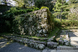 大手道脇の排水路｜高解像度画像サイズ：3961 x 2635 pixels｜写真番号：53BS8909｜撮影：Canon EOS-1DS