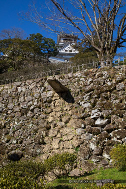 石樋｜高解像度画像サイズ：4480 x 6720 pixels｜写真番号：5D4A4540｜撮影：Canon EOS 5D Mark IV