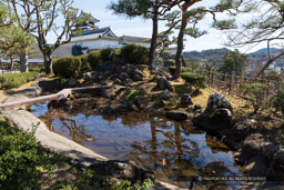 庭園跡・二の丸｜高解像度画像サイズ：6714 x 4477 pixels｜写真番号：5D4A4933｜撮影：Canon EOS 5D Mark IV