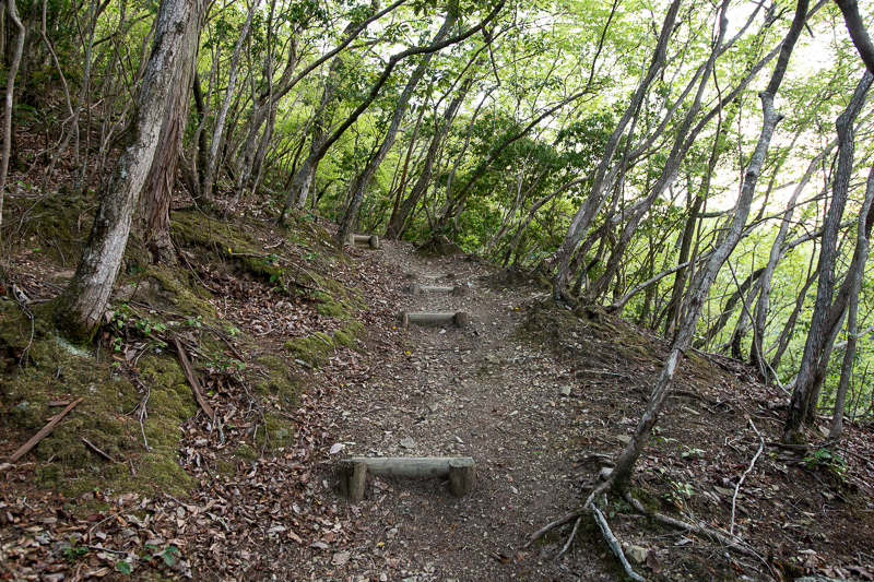 登山道