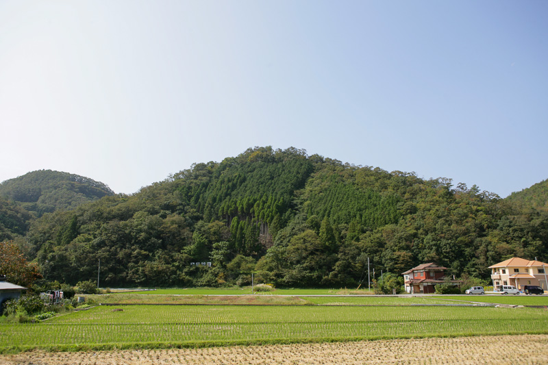 上月城遠景