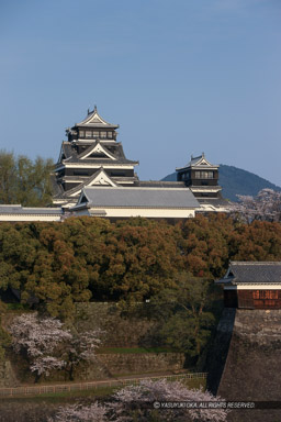 大天守・小天守・本丸御殿｜高解像度画像サイズ：3577 x 5365 pixels｜写真番号：1P3J1349｜撮影：Canon EOS-1Ds Mark III