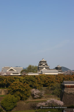 大天守・小天守・本丸御殿｜高解像度画像サイズ：3624 x 5436 pixels｜写真番号：1P3J1371｜撮影：Canon EOS-1Ds Mark III