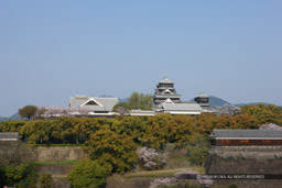 熊本市役所14階のレストランから｜高解像度画像サイズ：5567 x 3711 pixels｜写真番号：1P3J1386｜撮影：Canon EOS-1Ds Mark III