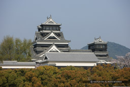 大天守・小天守・本丸御殿｜高解像度画像サイズ：5376 x 3584 pixels｜写真番号：1P3J1389｜撮影：Canon EOS-1Ds Mark III