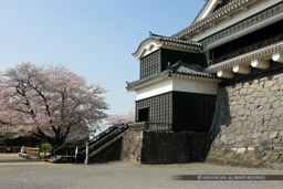 大天守付櫓｜高解像度画像サイズ：5616 x 3744 pixels｜写真番号：1P3J1466｜撮影：Canon EOS-1Ds Mark III