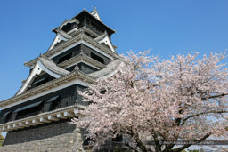春の熊本城｜高解像度画像サイズ：4811 x 3207 pixels｜写真番号：1P3J1550｜撮影：Canon EOS-1Ds Mark III