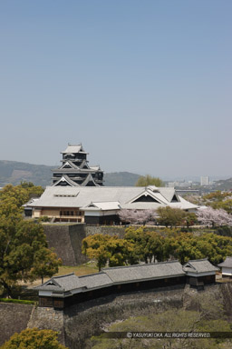 熊本市役所14階のレストランから｜高解像度画像サイズ：3708 x 5562 pixels｜写真番号：1P3J1715｜撮影：Canon EOS-1Ds Mark III