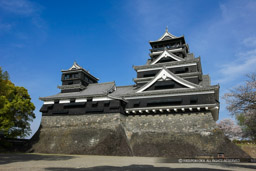 大天守・小天守｜高解像度画像サイズ：5616 x 3744 pixels｜写真番号：1P3J1858-Edit｜撮影：Canon EOS-1Ds Mark III