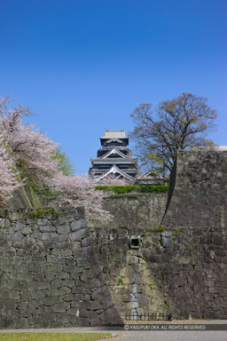 竹の丸から天守閣を望む｜高解像度画像サイズ：3657 x 5485 pixels｜写真番号：1P3J1980｜撮影：Canon EOS-1Ds Mark III