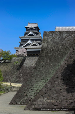 二様の石垣・天守｜高解像度画像サイズ：3641 x 5481 pixels｜写真番号：1P3J1998-Edit｜撮影：Canon EOS-1Ds Mark III