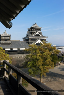 最上階から天守群を望む｜高解像度画像サイズ：3505 x 5246 pixels｜写真番号：1P3J1910｜撮影：Canon EOS-1Ds Mark III