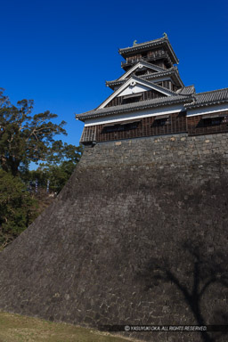 宇土櫓西面｜高解像度画像サイズ：3261 x 4892 pixels｜写真番号：VJ7Z1005｜撮影：Canon EOS-1Ds Mark II