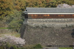 東十八間櫓｜高解像度画像サイズ：5516 x 3677 pixels｜写真番号：1P3J1376｜撮影：Canon EOS-1Ds Mark III