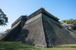 東十八間櫓・北十八間櫓｜高解像度画像サイズ：5616 x 3744 pixels｜写真番号：1P3J1395｜撮影：Canon EOS-1Ds Mark III