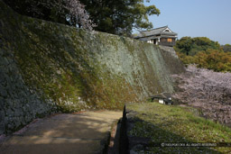 不開門から平櫓｜高解像度画像サイズ：5503 x 3668 pixels｜写真番号：1P3J1414｜撮影：Canon EOS-1Ds Mark III