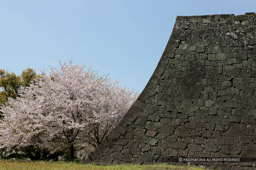 飯田丸石垣｜高解像度画像サイズ：5357 x 3568 pixels｜写真番号：1P3J1663｜撮影：Canon EOS-1Ds Mark III