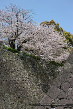 飯田丸石垣｜高解像度画像サイズ：3744 x 5616 pixels｜写真番号：1P3J1664｜撮影：Canon EOS-1Ds Mark III