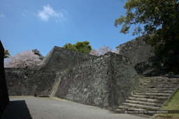 東竹の丸方面への通路｜高解像度画像サイズ：5405 x 3604 pixels｜写真番号：1P3J1668｜撮影：Canon EOS-1Ds Mark III