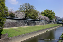 竹の丸長塀｜高解像度画像サイズ：5616 x 3744 pixels｜写真番号：1P3J1699-Edit｜撮影：Canon EOS-1Ds Mark III