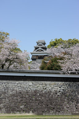 竹の丸長塀・飯田丸五階櫓｜高解像度画像サイズ：3744 x 5616 pixels｜写真番号：1P3J1701｜撮影：Canon EOS-1Ds Mark III