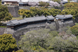 田子櫓・七間櫓・十四間櫓・四間櫓・源之進櫓｜高解像度画像サイズ：4594 x 3063 pixels｜写真番号：1P3J1707｜撮影：Canon EOS-1Ds Mark III