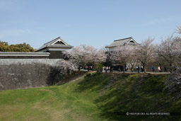 西大手門・土橋｜高解像度画像サイズ：5537 x 3691 pixels｜写真番号：1P3J1790｜撮影：Canon EOS-1Ds Mark III