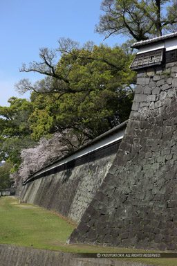 長塀｜高解像度画像サイズ：3744 x 5616 pixels｜写真番号：1P3J1967｜撮影：Canon EOS-1Ds Mark III