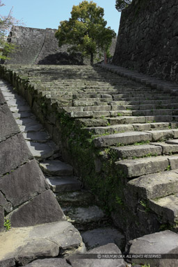 東竹の丸方面への通路｜高解像度画像サイズ：3404 x 5107 pixels｜写真番号：1P3J1983｜撮影：Canon EOS-1Ds Mark III