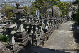 胸突雁木・本妙寺参道｜高解像度画像サイズ：5616 x 3744 pixels｜写真番号：1P3J1731｜撮影：Canon EOS-1Ds Mark III