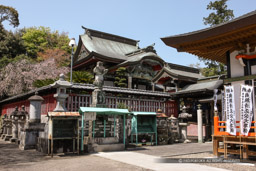 本妙寺浄池廟本殿・加藤清正菩提寺｜高解像度画像サイズ：5319 x 3546 pixels｜写真番号：1P3J1735｜撮影：Canon EOS-1Ds Mark III