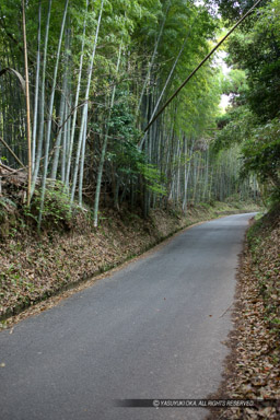 田原坂｜高解像度画像サイズ：3522 x 5283 pixels｜写真番号：1P3J2030｜撮影：Canon EOS-1Ds Mark III