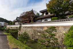 興禅寺｜高解像度画像サイズ：5472 x 3648 pixels｜写真番号：IMG_1595｜撮影：Canon EOS 6D