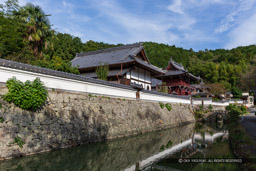 黒井城下館跡・興禅寺｜高解像度画像サイズ：5472 x 3648 pixels｜写真番号：IMG_1602｜撮影：Canon EOS 6D