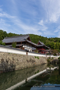 黒井城下館跡・興禅寺｜高解像度画像サイズ：3547 x 5320 pixels｜写真番号：IMG_1605｜撮影：Canon EOS 6D