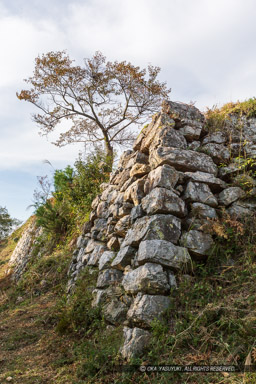 石垣｜高解像度画像サイズ：3578 x 5366 pixels｜写真番号：IMG_1690｜撮影：Canon EOS 6D