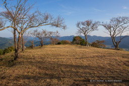 本丸跡｜高解像度画像サイズ：5472 x 3648 pixels｜写真番号：IMG_1730｜撮影：Canon EOS 6D