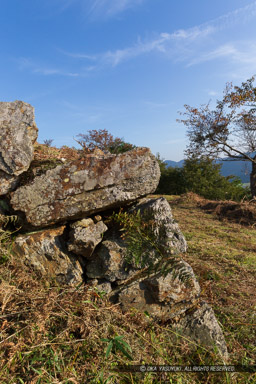 本丸虎口石垣｜高解像度画像サイズ：3648 x 5472 pixels｜写真番号：IMG_1742｜撮影：Canon EOS 6D