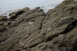 岩礁のピット西側｜高解像度画像サイズ：5616 x 3744 pixels｜写真番号：1P3J5747｜撮影：Canon EOS-1Ds Mark III