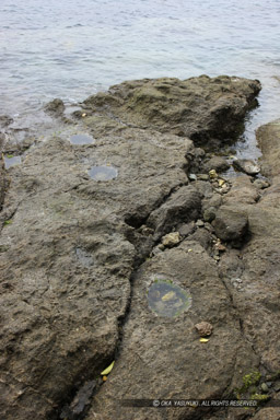 岩礁のピット西側｜高解像度画像サイズ：3744 x 5616 pixels｜写真番号：1P3J5750｜撮影：Canon EOS-1Ds Mark III