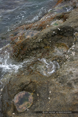 岩礁のピット東側｜高解像度画像サイズ：3744 x 5616 pixels｜写真番号：1P3J5779｜撮影：Canon EOS-1Ds Mark III