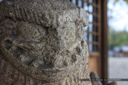 八千予神社｜高解像度画像サイズ：5616 x 3744 pixels｜写真番号：1P3J5824｜撮影：Canon EOS-1Ds Mark III