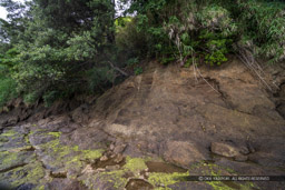 来島城の東側に残る階段跡｜高解像度画像サイズ：8192 x 5464 pixels｜写真番号：344A3974｜撮影：Canon EOS R5