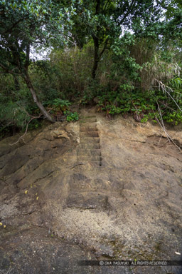 来島城の東側に残る階段跡｜高解像度画像サイズ：5413 x 8116 pixels｜写真番号：344A3977｜撮影：Canon EOS R5