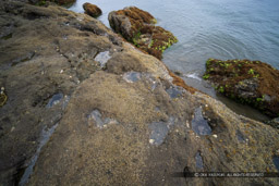 来島城の岩礁ピット｜高解像度画像サイズ：8192 x 5464 pixels｜写真番号：344A3980｜撮影：Canon EOS R5