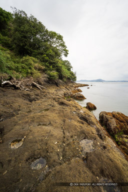 来島城の岩礁ピット｜高解像度画像サイズ：5366 x 8045 pixels｜写真番号：344A3982｜撮影：Canon EOS R5