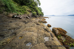 来島城の岩礁ピット｜高解像度画像サイズ：7905 x 5272 pixels｜写真番号：344A3983｜撮影：Canon EOS R5