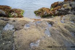 来島城の岩礁ピット｜高解像度画像サイズ：8192 x 5464 pixels｜写真番号：344A3986｜撮影：Canon EOS R5
